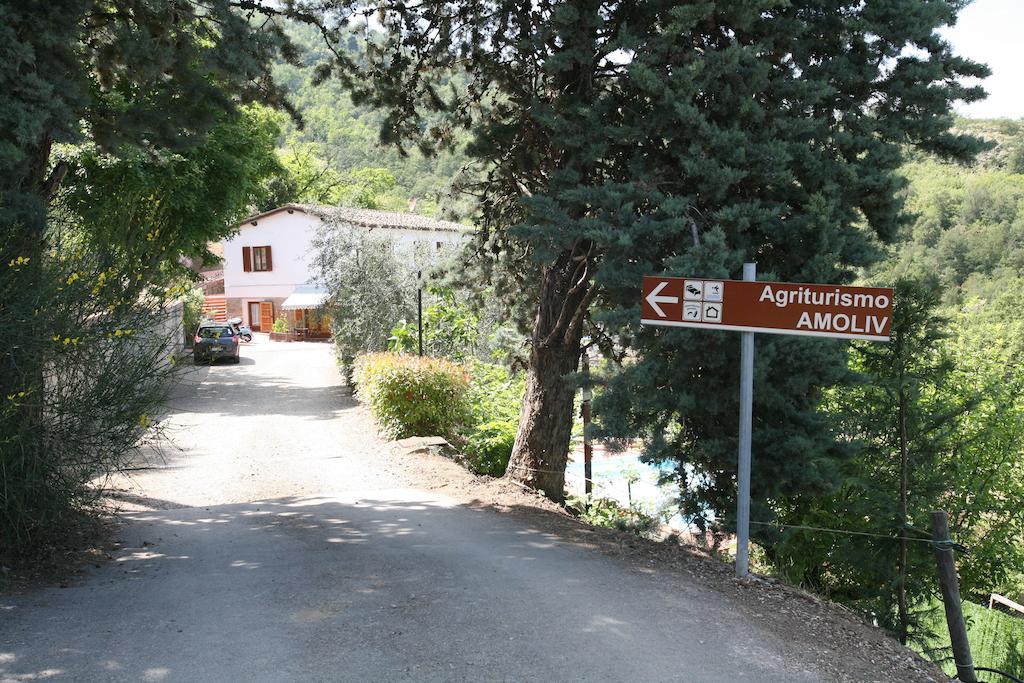 Amoliv Bed and Breakfast Cavriglia Kamer foto